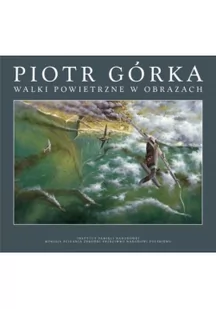 IPN Walki powietrzne w obrazach Piotr Górka - Albumy inne - miniaturka - grafika 2