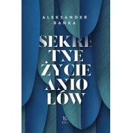 Religia i religioznawstwo - RTCK Sekretne życie aniołów Aleksander Bańka - miniaturka - grafika 1