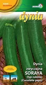 Nasiona i cebule - Cukinia Soraya Dynia Zwyczajna Nasiona Warzyw 2G - miniaturka - grafika 1