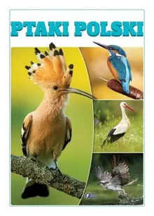 Ptaki Polski - praca zbiorowa - Albumy - przyroda - miniaturka - grafika 1