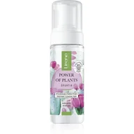 Żele do mycia twarzy - Lirene Power of Plants wygładzająca pianka myjąca Opuncja 150ml - miniaturka - grafika 1