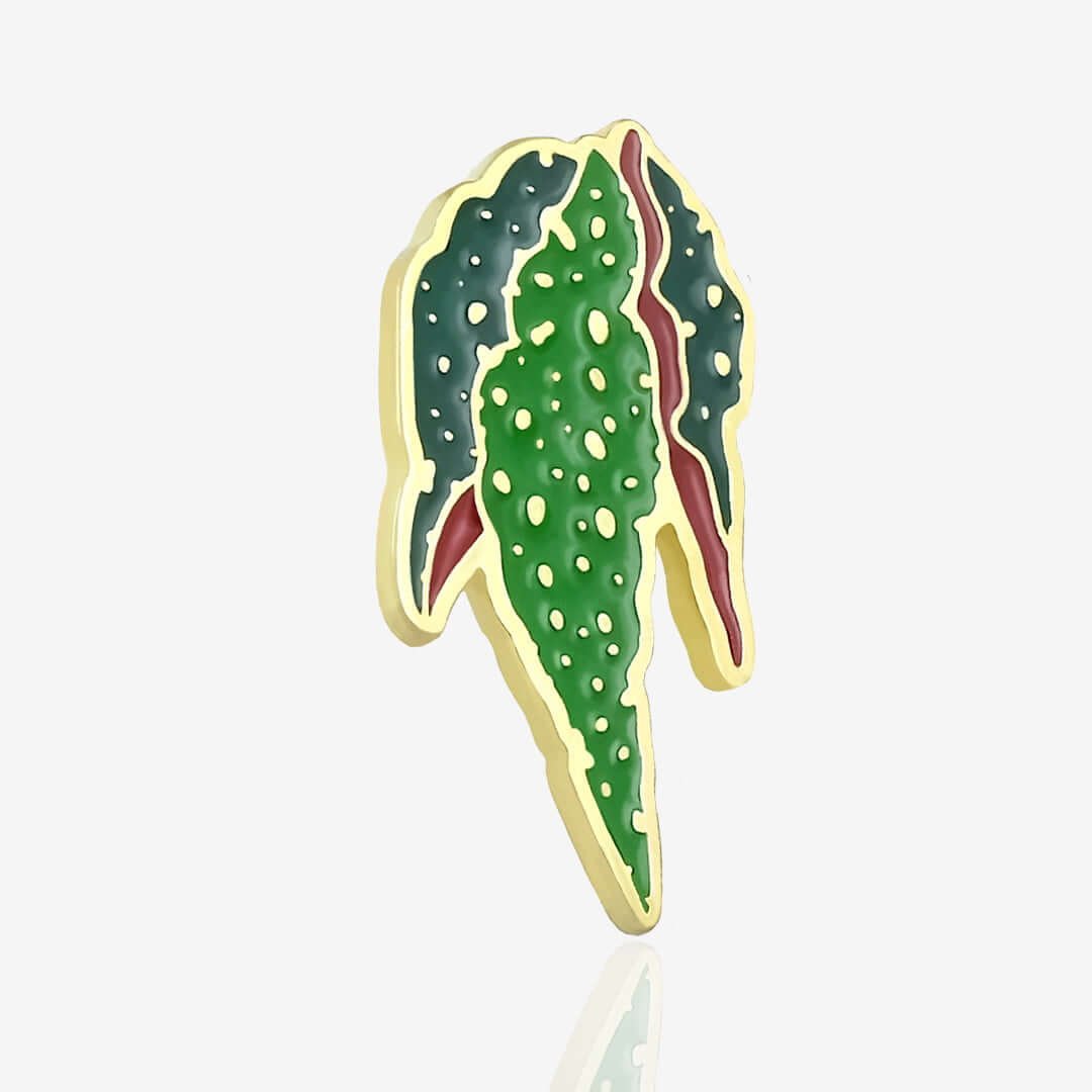 Pins begonia maculata