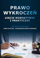 E-booki - prawo - Prawo wykroczeń. Ujęcie normatywne i praktyczne - miniaturka - grafika 1