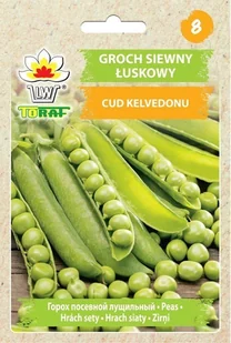 Groch siewny łuskowy CUD KELVEDONU (wczesny) Pisum sativum L. - Nasiona i cebule - miniaturka - grafika 1