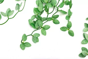 Repti-Zoo Repti-Zoo roślina wisząca 40cm - Fitonia RZ Roslina 40cm TP008 - Dekoracje do terrarium - miniaturka - grafika 1