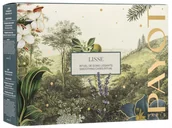 Zestawy kosmetyków damskich - Zestaw do pielęgnacji twarzy Payot Lisse Smoothing Cares Ritual Krem przeciwzmarszczkowy 30 ml + Regenerujący krem na noc 30 ml + Masażer Gua Sha (3390150587313) - miniaturka - grafika 1