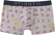 Majtki męskie - ATLANTIC SZORTY MĘSKIE BOKSERKI MH1054 SZARE *S* - miniaturka - grafika 1
