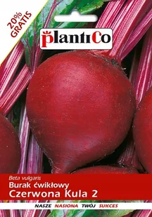 NASIONA Burak Ćwikłowy Czerwona Kula 2 NOE 12g PLANTICO 403413 - Nasiona i cebule NASIONA Burak Ćwikłowy Czerwona Kula 2 NOE 12g PLANTICO 403413 - Nasiona i cebule - miniaturka - grafika 1
