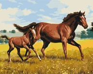 Malowanie po numerach - Obraz Malowanie po numerach - Rodzinny galop - miniaturka - grafika 1