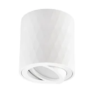 Lampy sufitowe - OPRAWA NATYNKOWA SPOT TUBA BIAŁA TIGO W1 - miniaturka - grafika 1