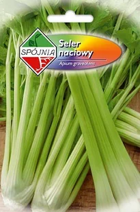 Seler naciowy Zefir 0.5 g Spójnia - Nasiona i cebule - miniaturka - grafika 1
