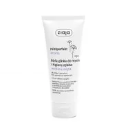 Pasty do zębów - Ziaja Mintperfect Aroma White Clay Verbena & Mint pasta do zębów 100 ml unisex - miniaturka - grafika 1