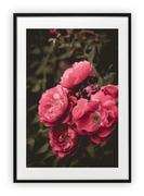 Plakaty - Plakat 30x40 cm Kwiaty rosliny rózowe piekne WZORY - miniaturka - grafika 1