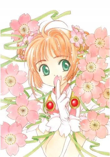 Plakat Anime Cardcaptor Sakura ccs_737 A2 (custom)