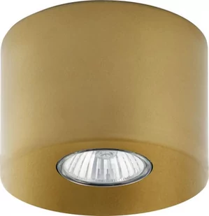 Orion Lampa sufitowa Gold TK Lighting - Lampy sufitowe - miniaturka - grafika 1