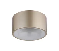 Lampy sufitowe - Globo 56964G - Oprawa sufitowa LED RAYMOND LED/12W/230V Ø 15 cm 3000K beżowa - miniaturka - grafika 1