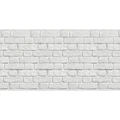 Pokrycia dachowe - Arkusz z polipropylenu kanalikowego MURO - miniaturka - grafika 1