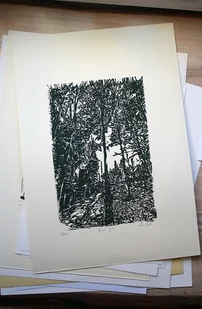 Linoryt Ustroń - Obrazy i zdjęcia na płótnie - miniaturka - grafika 1