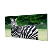 Tablice i flipcharty - Płyta szklana do kuchni + klej Zebra pole 120x60 - miniaturka - grafika 1