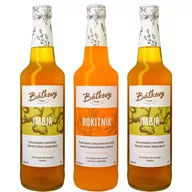 Syropy i koncentraty owocowe - 3x Syrop Batkovy 2 Imbir 1 Rokitnik JESIEŃ - miniaturka - grafika 1