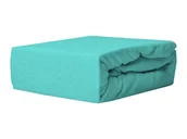 Prześcieradła - Darymex D.GRUCA I R.RĄCZKA SPÓŁKA JAWNA Prześcieradło z gumką, Frotte, 80x140 cm, miętowe - miniaturka - grafika 1