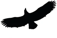 Zwalczanie i odstraszanie szkodników - ODSTRASZACZ PTAKÓW - NAKLEJKA L40 - miniaturka - grafika 1