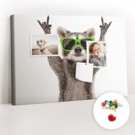 Tablice i flipcharty - Szkolna Tablica korkowa 60x40 cm, Kolorowe Pinezki, wzór Szop w okularach - miniaturka - grafika 1