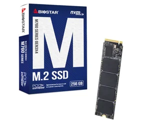 Dysk SSD Biostar M760 256GB - Dyski SSD - miniaturka - grafika 1