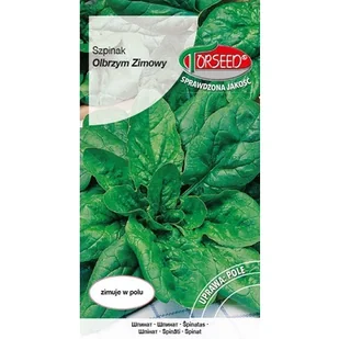TORSEED nasiona SZPINAK OLBRZYM ZIMOWY 10 G - Nasiona i cebule - miniaturka - grafika 1