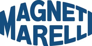 MAGNETI MARELLI Moduł pompy paliwa MAGNETI MARELLI 313011313162 313011313162 - Pompy paliwa - miniaturka - grafika 1