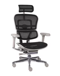 Fotel biurowy, krzesło biurowe Fotel biurowy Ergohuman 2 Elite GS Black, czarny, ergonomiczny, siatkowy - Fotele i krzesła biurowe - miniaturka - grafika 1