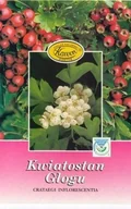 Suplementy naturalne - Kawon HURT Kwiatostan głogu 50 g - miniaturka - grafika 1