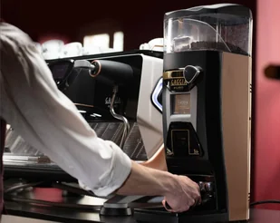 Gaggia G10 - Młynki do kawy - miniaturka - grafika 5