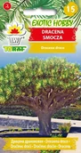 Nasiona i cebule - Toraf EXOTIC Dracena smocza nasiona 5 szt 00282 - miniaturka - grafika 1