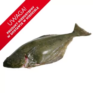 Halibut - Tusza - Ryby świeże i mrożone - miniaturka - grafika 1