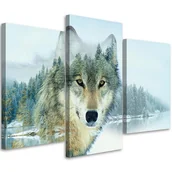Obrazy i zdjęcia - Feeby Obraz tryptyk na płótnie, Biały wilk na tle gór 150x100cm - miniaturka - grafika 1