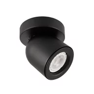 Lampy sufitowe - Italux Sufitowa LAMPA plafon NUORA SPL-2855-1C-BL metalowa OPRAWA regulowany reflektorek czarny SPL-2855-1C-BL - miniaturka - grafika 1