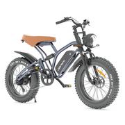 JANSNO X50 Electric Bike 20*4.0'' Tire 750W Brushless Motor 48V 12.8Ah Removable Battery 50km Range 40km/h Max speed