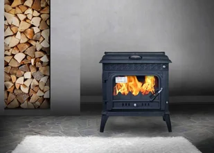 Piec piecyk koza żeliwny z płytą grzewczą (kolor: czarny) spełnia anty-smogowy EkoProjekt 04480186 - Piece wolnostojące - miniaturka - grafika 6