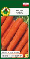 Nasiona i cebule - Marchew jadalna Cidera 5 g PNOS - miniaturka - grafika 1