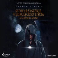 Audiobooki - fantastyka i horror - Stowarzyszenie wędrującego liścia i złodzieje snów (plik audio) - miniaturka - grafika 1