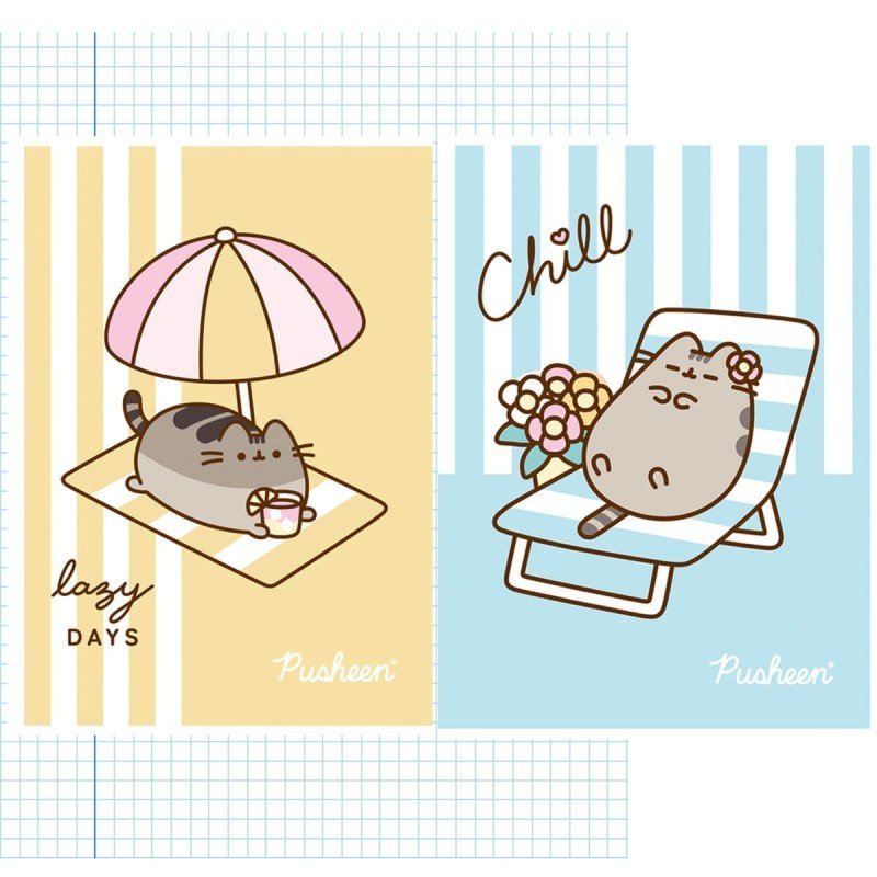 2 X ZESZYT A4 32 KARTKI KRATKA Z MARGINESEM, PUSHEEN, UNIPAP