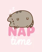 Koce - Koc 130x160 Pusheen The Cat Puszin Kot Kotek Kocyk Flanelowy Super Miękki - miniaturka - grafika 1