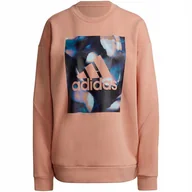 Bluzy damskie - Bluza damska adidas Youforyou Sweatshirt morelowa HA2431 S - miniaturka - grafika 1