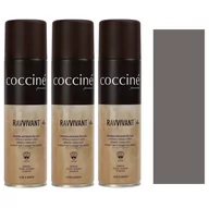 Środki do obuwia i ubrań - 3x Ravviant do Nubuku Jasny Szary 21 250 ml - miniaturka - grafika 1