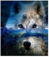 Zabawki kreatywne - Diamentowa Mozaika Wilk Zjawa 30x40 - miniaturka - grafika 1