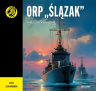 Audiobooki - historia - ORP "Ślązak" - miniaturka - grafika 1