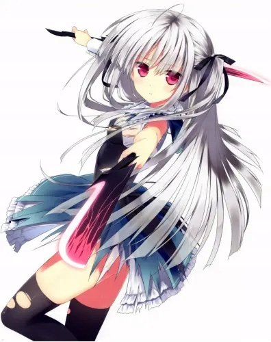 Plakat Anime Absolute Duo ad_002 A1+ (custom)