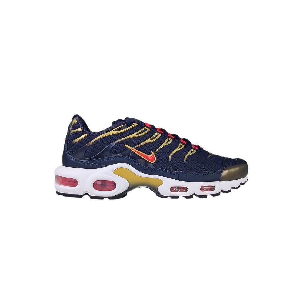 Air Max Plus OG TN Tuned 1