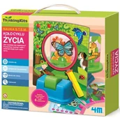 Zabawki kreatywne - 4M koło cyklu życia - miniaturka - grafika 1
